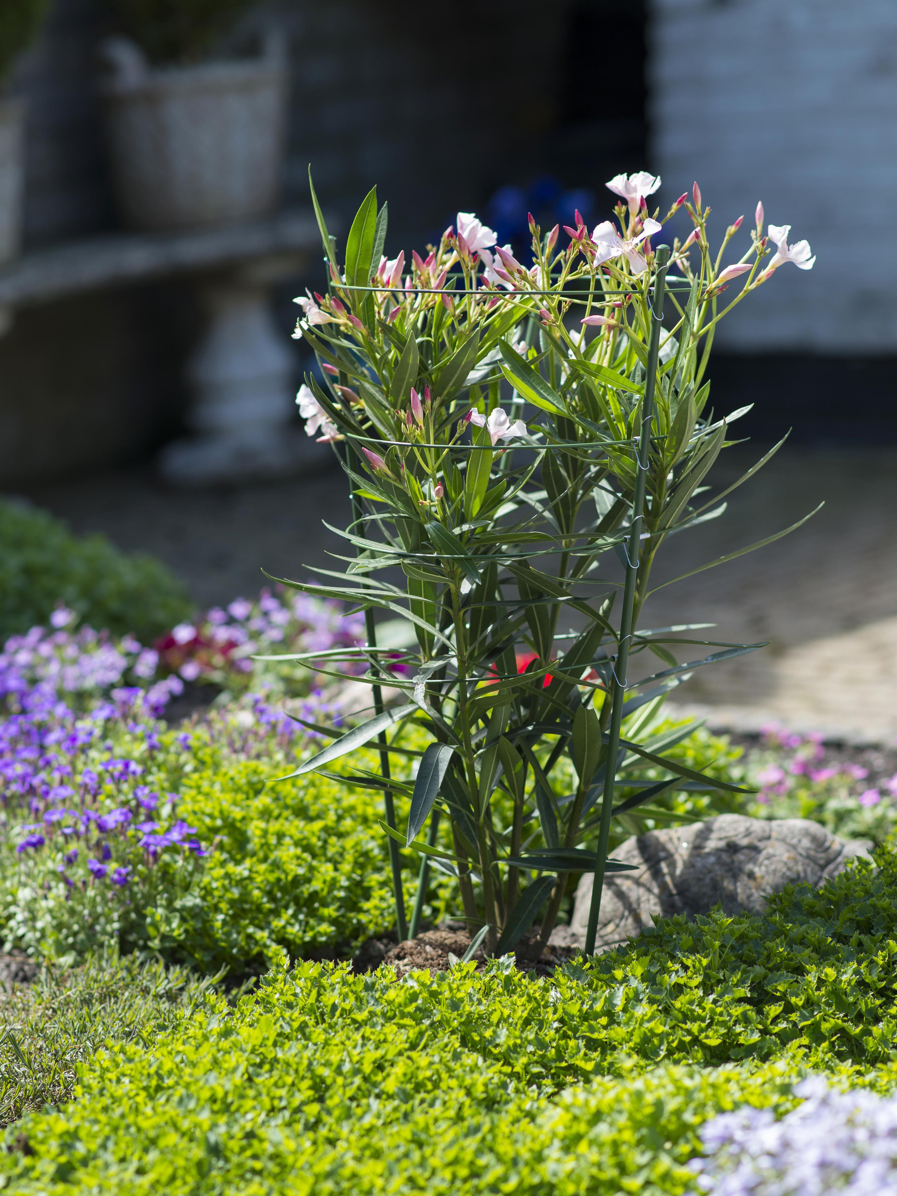 Foto: 8711338403402 S1