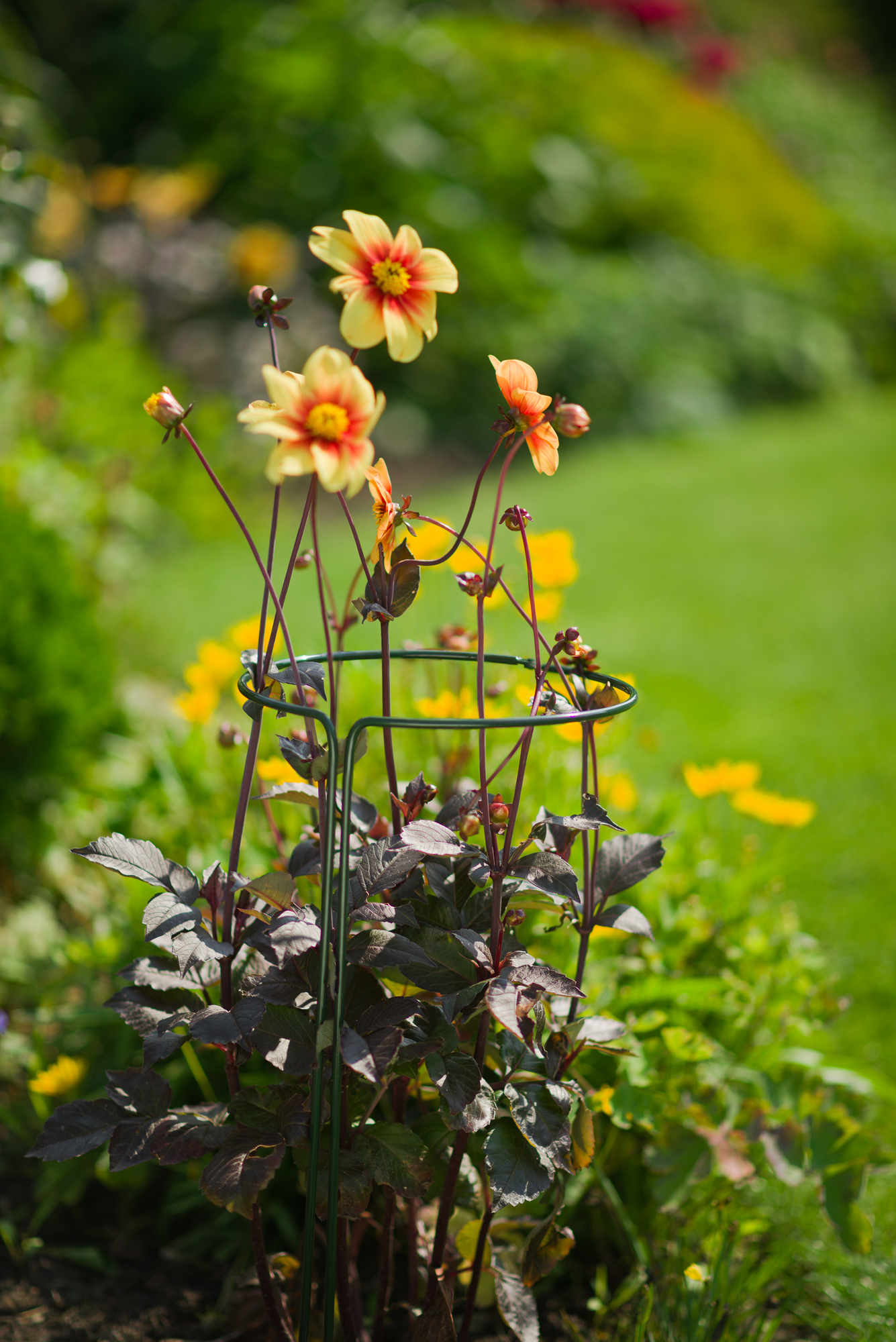 Foto: 8711338403600 S2