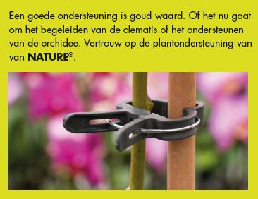 Foto: Tekst bij vrouw zonnebloem
