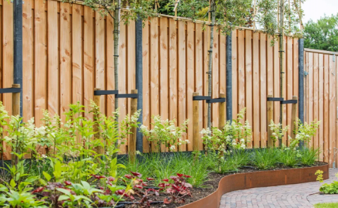 Foto : Douglas schutting: natuurlijke tuinafscheiding met warme uitstraling