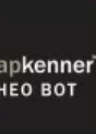 Slaapkenner Theo Bot