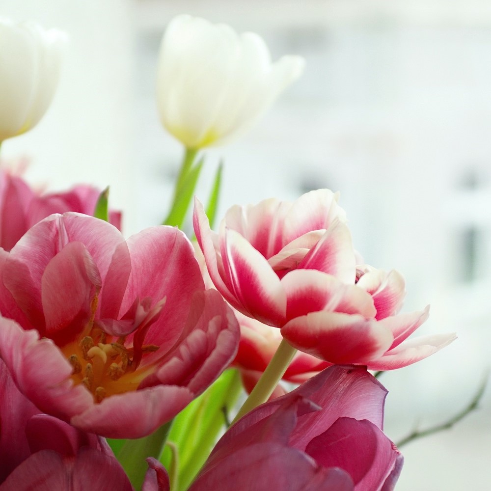 Foto : 5 Lenteboeket ideeën om je huis op te fleuren