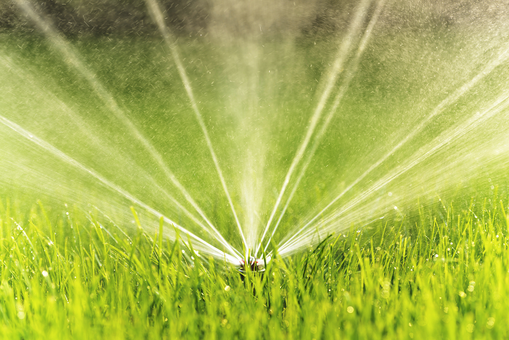 Foto : Water besparen in de tuin: 4 handige tips