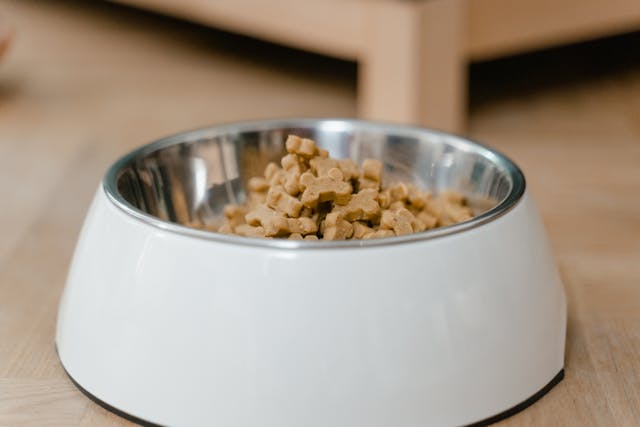 Foto: pexels mart production 8434633