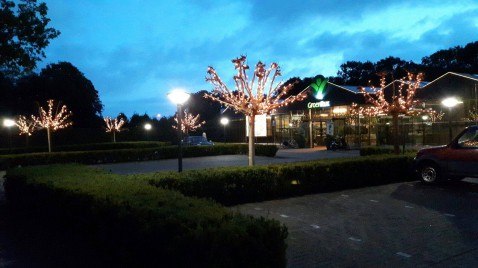 Foto : Breng je huis in de kerstsfeer met boom en buitenverlichting