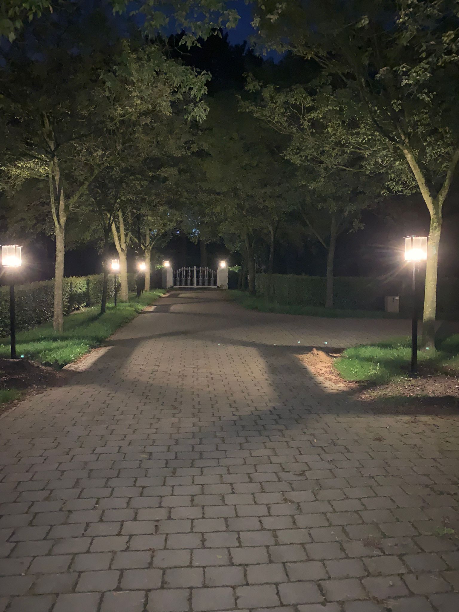 Foto: Florence 25x25 paal avond