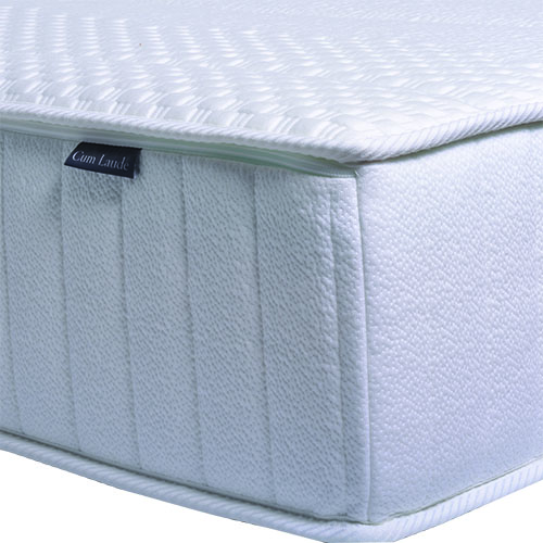 Foto: cumlaude vierkant 2 1