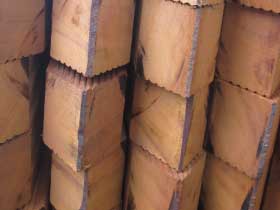 Foto: customermade mini 1