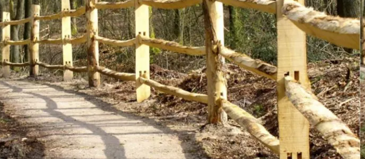 Foto: Schermafbeelding 2025 11 05 112823