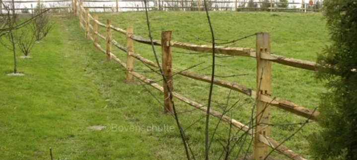 Foto: Schermafbeelding 2025 11 05 112832