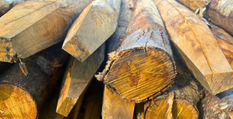 Foto : Het juiste aantal palen voor jouw kastanje hekwerk