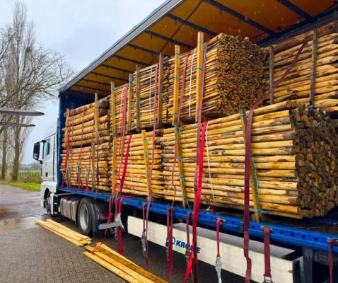 Foto : Kastanjehout voor duurzame erfafscheidingen