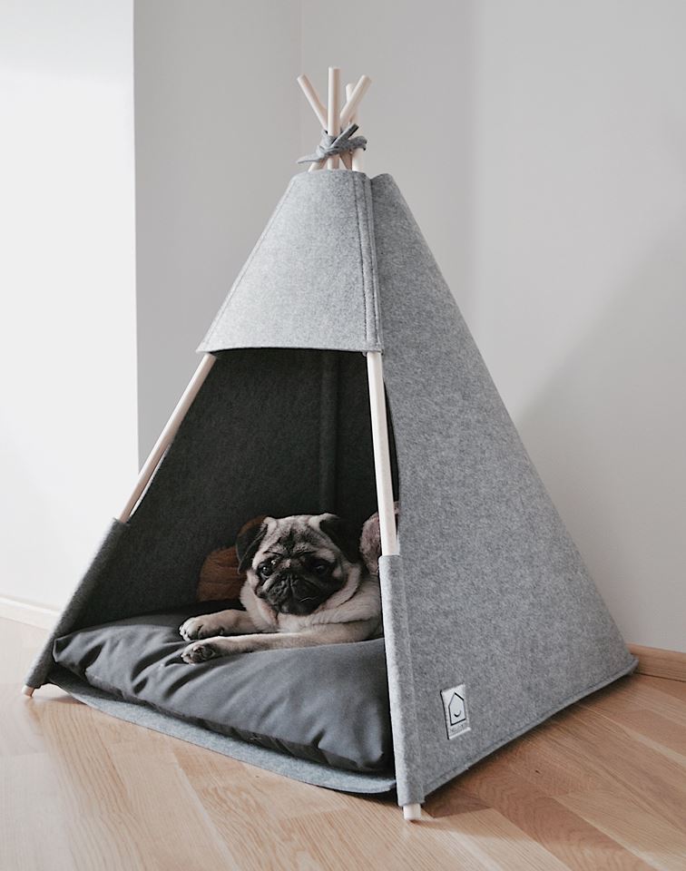 Foto: TeePee 5