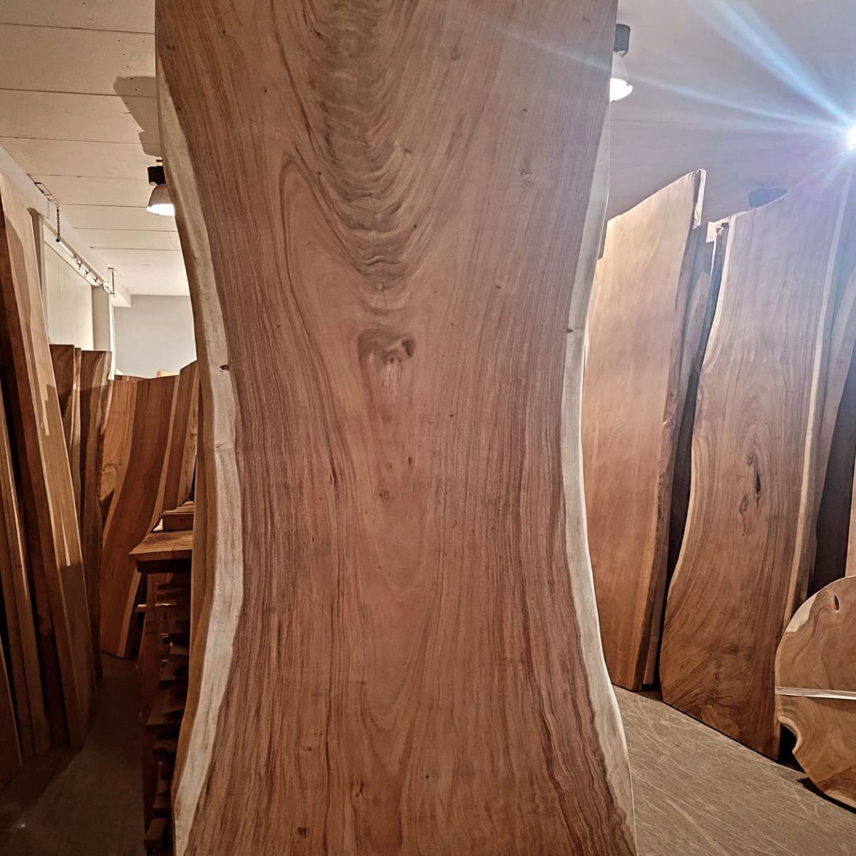 Foto: 476383228 1160230519440965 1199602495597358828 n