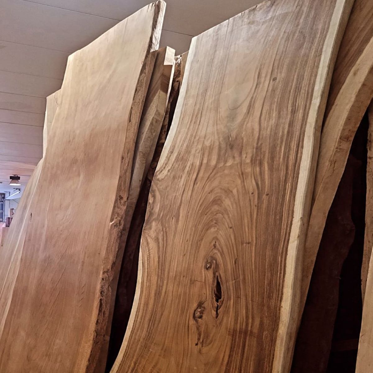 Foto: 476648488 1160230526107631 1292603877407935258 n