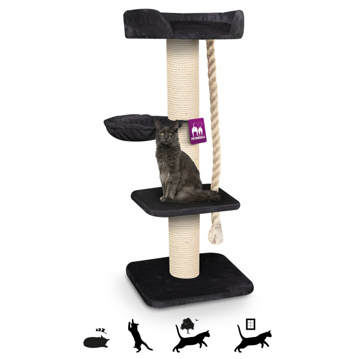 Foto: 7 petrebels.431085 20.20171206161756