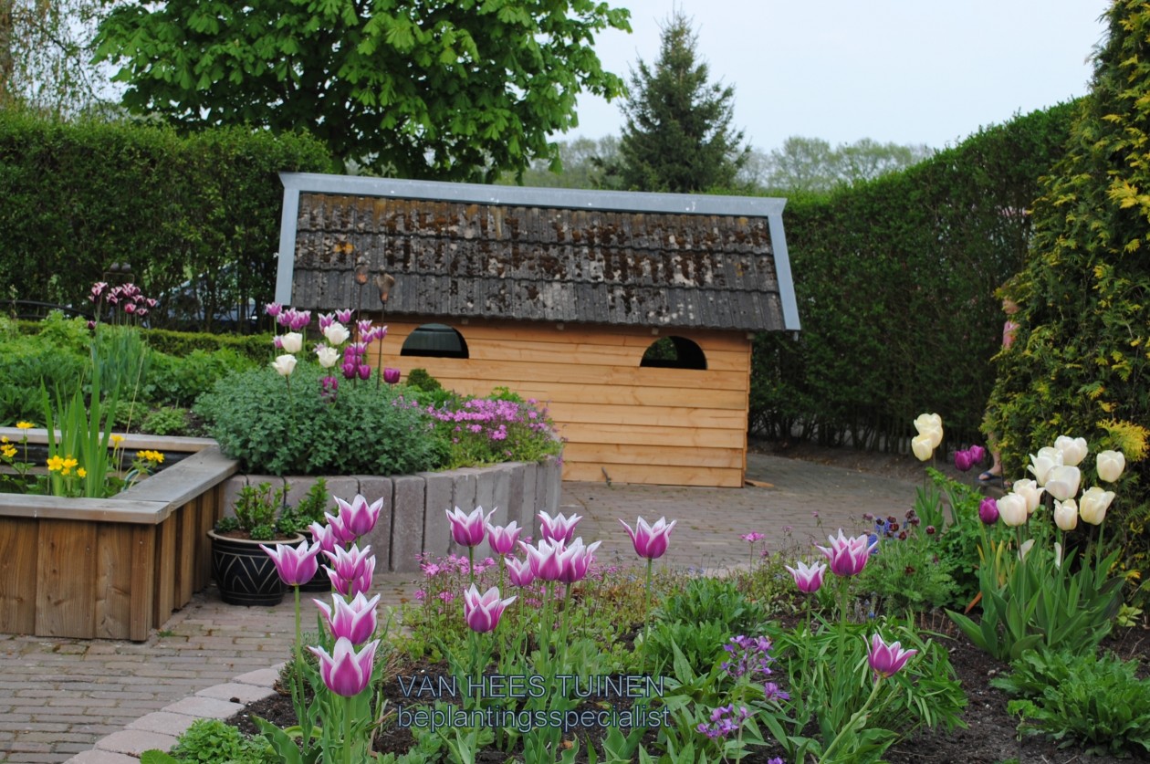 Foto: w3 DSC 0022   kopie