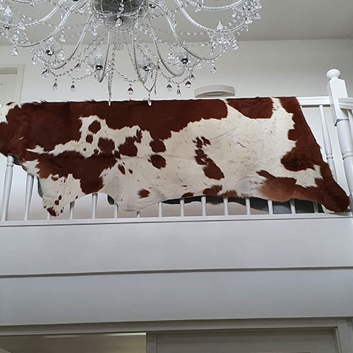 Foto: Interleer vloerkleed