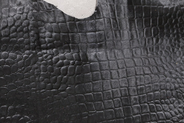 Foto: dicht bij crocco huid