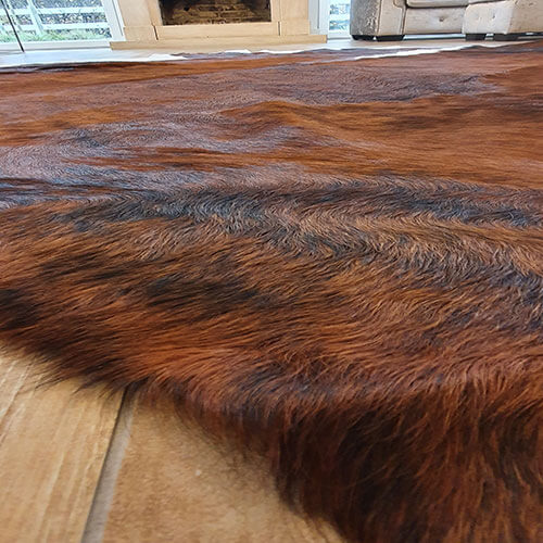 Foto: kwaliteit koeienhuid geen littekens zwart en bruin