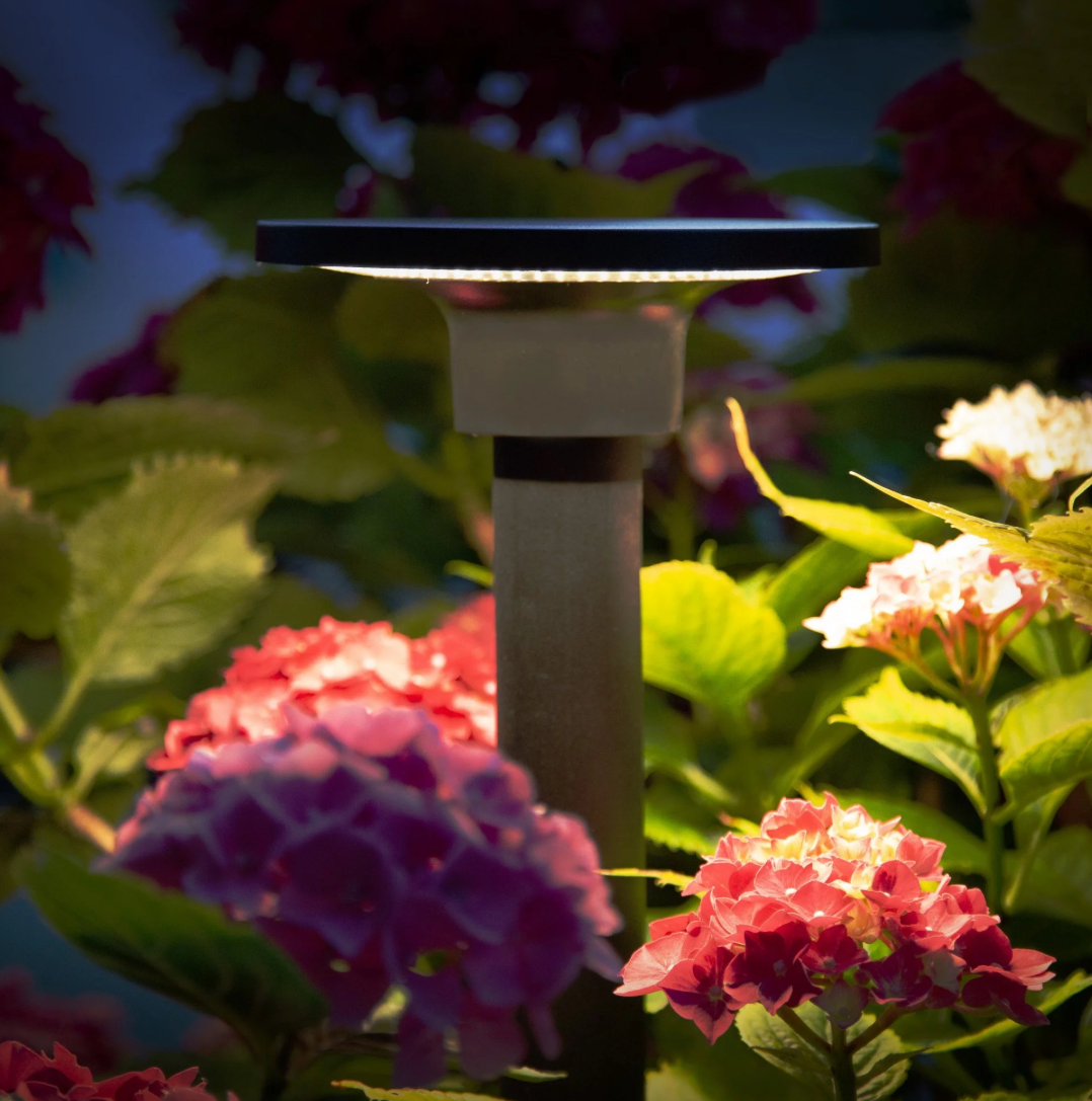 Foto: Schermafbeelding 2025 12 01 091931