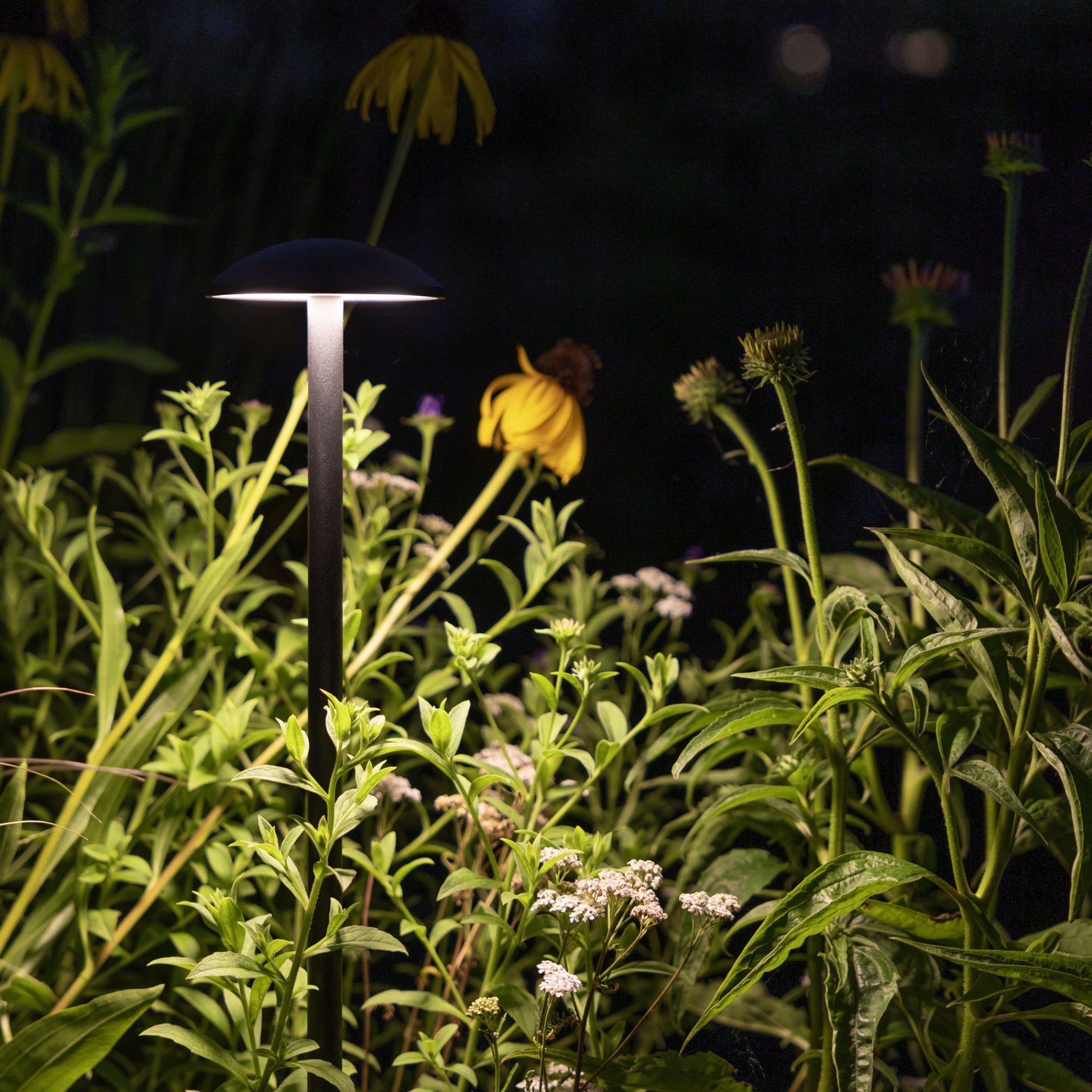 Foto: nostalux tuinverlichting nostalux wonen nl