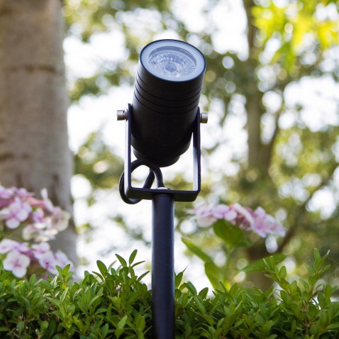 Foto : Beamy L: Geef Je Tuin een Spotlightmoment