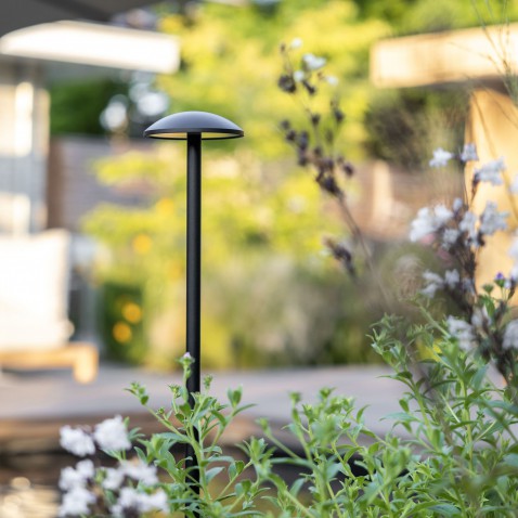 Foto : Garden Glow: Breng Sfeer in Je Tuin, Dag en Nacht