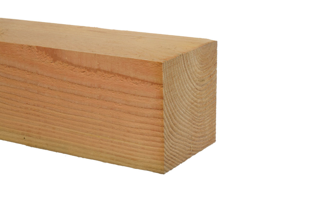 Foto: Douglas paal ruw 150 x 150 1024x682