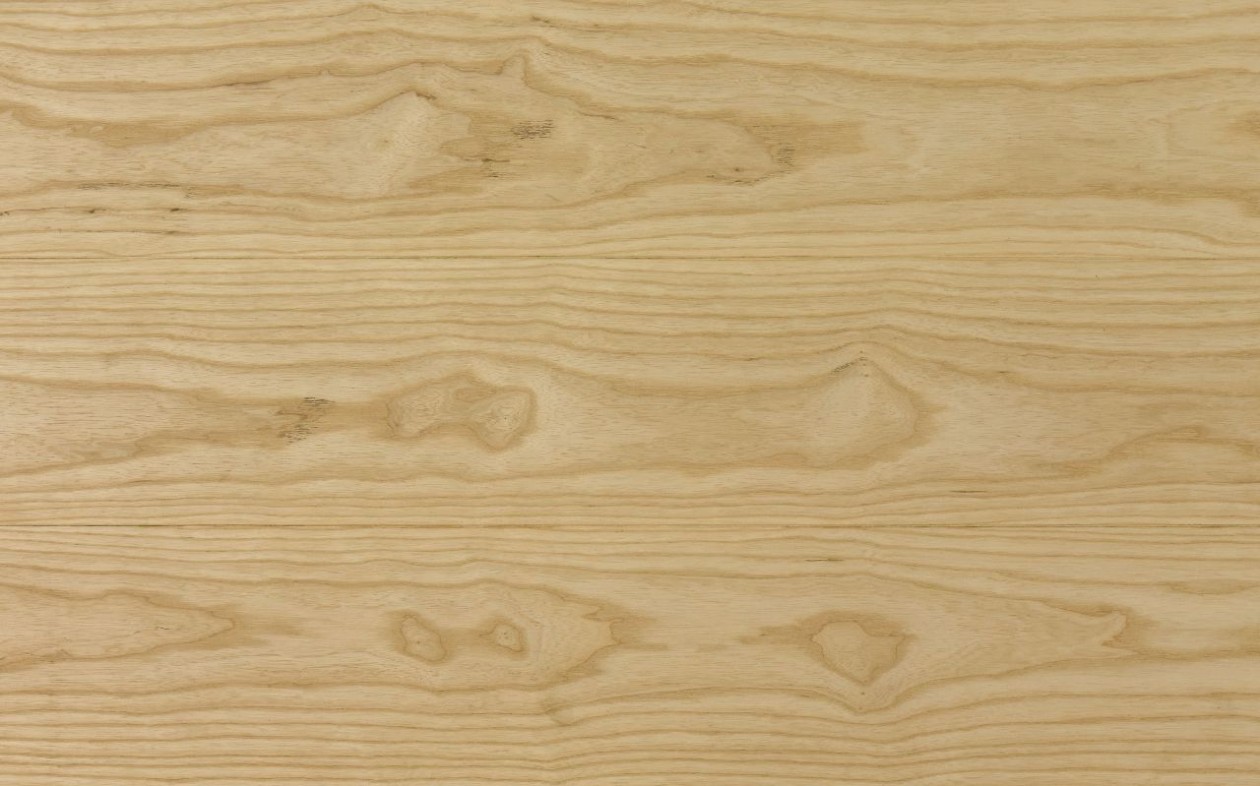 Foto: w3 image 2016 12 15 (1)