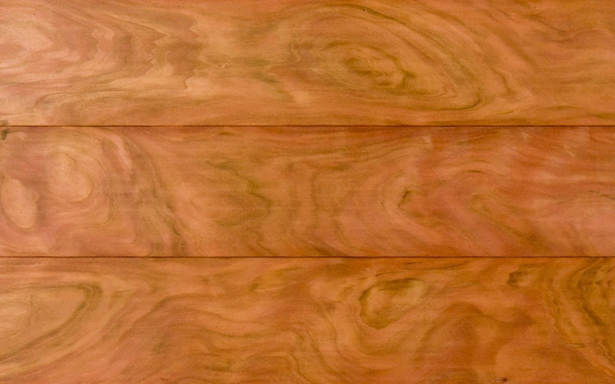 Foto: w3 image 2016 12 15 (2)