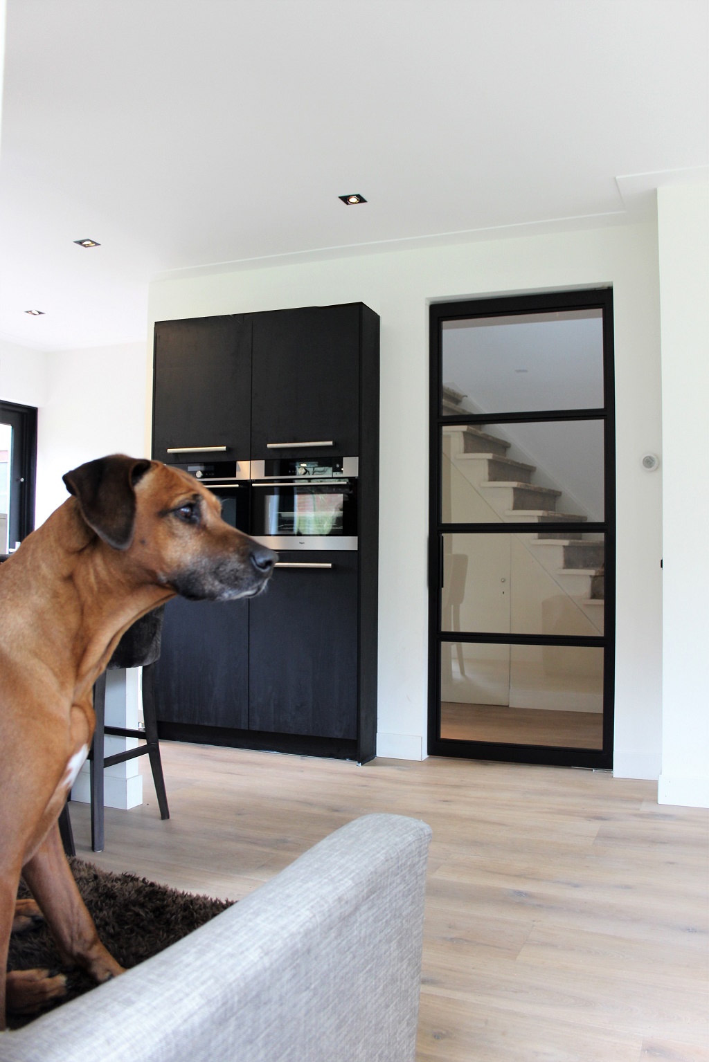 Foto: Wonennl enkele stalen deur Skygate