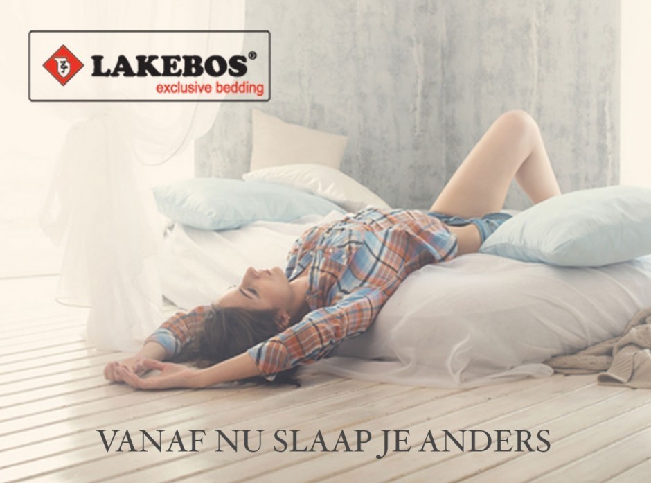 Profielfoto van Lakebos Productie N.V.