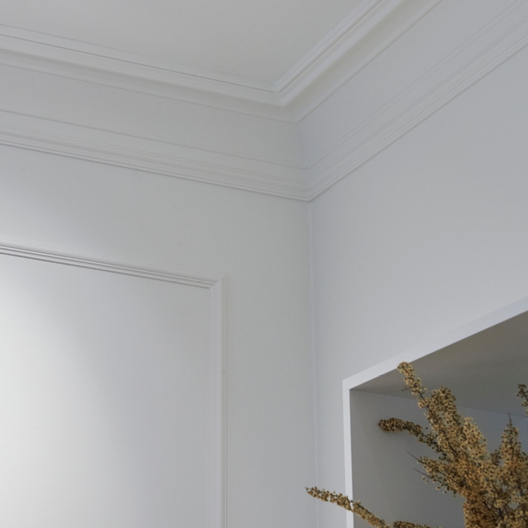 Foto: 420152696 911826523666614 2592435668163244319 n