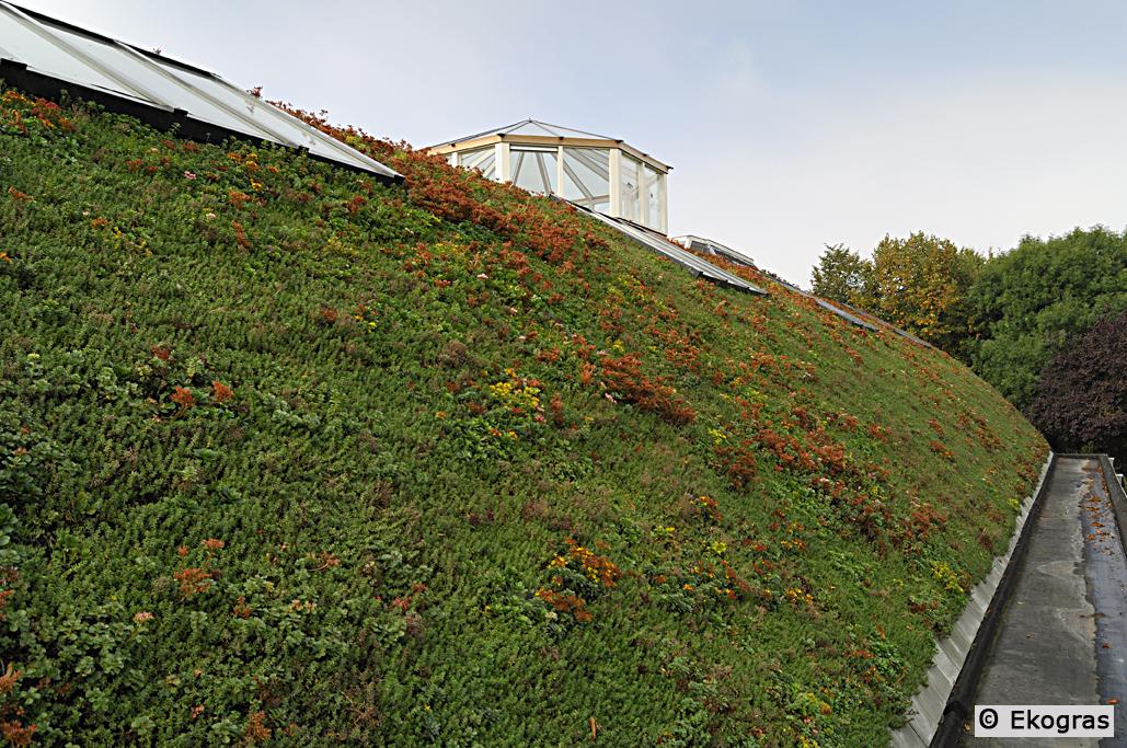 Foto: Nijmegen 10 199