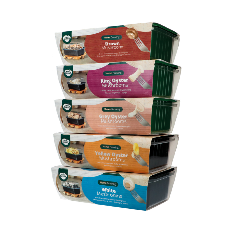 Foto: 881491 881491 3 0x0