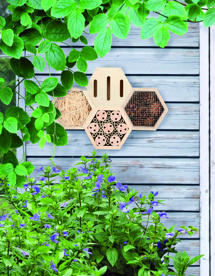 Foto : Insectenkast Hexagon voor Vlinders
