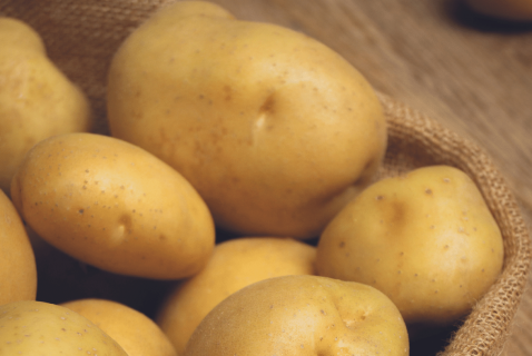 Foto : Aardappel uit zaad, Soltastic F1