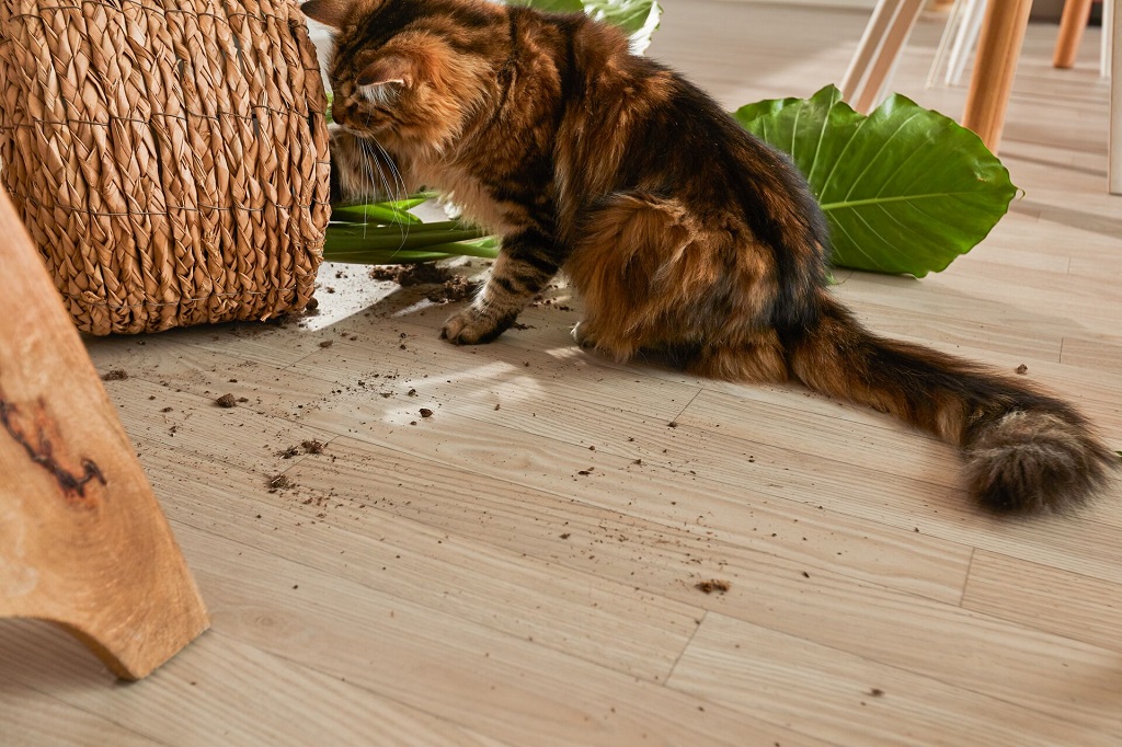Foto: Wonennl Forbo Novilon Medium 5822 CASTANEA LIGHT CHESTNUT KITCHEN DETAIL