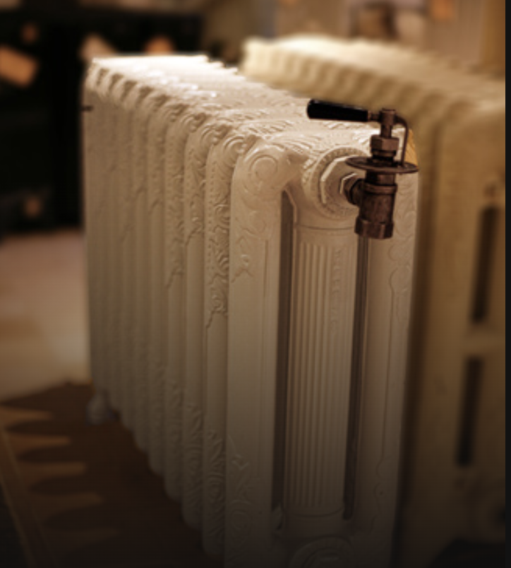 Foto: Scherm shy afbeelding 2025 02 28 om 14 00 47