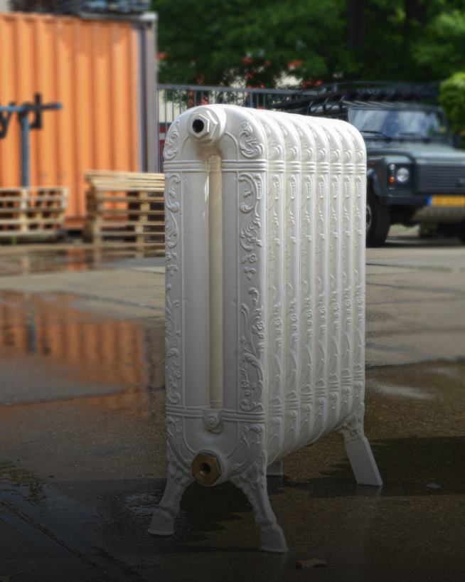 Foto: Scherm shy afbeelding 2025 02 28 om 14 01 27