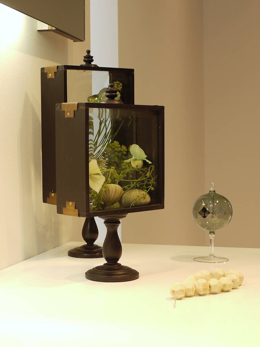 Foto: Wonennl Hansgrohe trend decoration antique plants ambiance 3x4