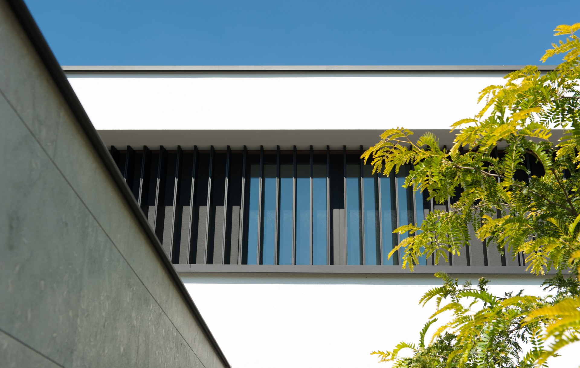 Foto: Livium louvreline paneel modern van lee en janssen zonhoven  1 