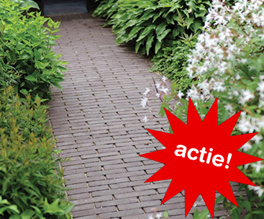 Foto: pop gebakkenbestratingAKTIESTER1