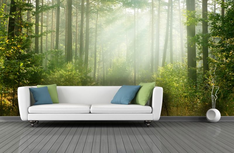 Foto: 1470331 626497367389654 1281546524 n