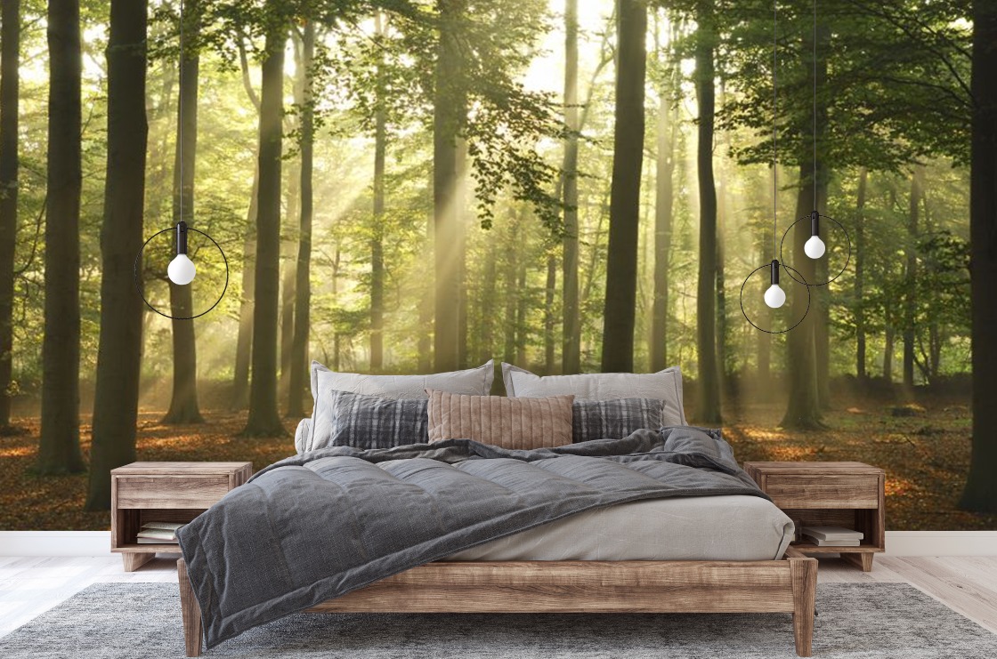 Foto: bef99be4 7fd8 4411 8e83 40cd5af38ed5