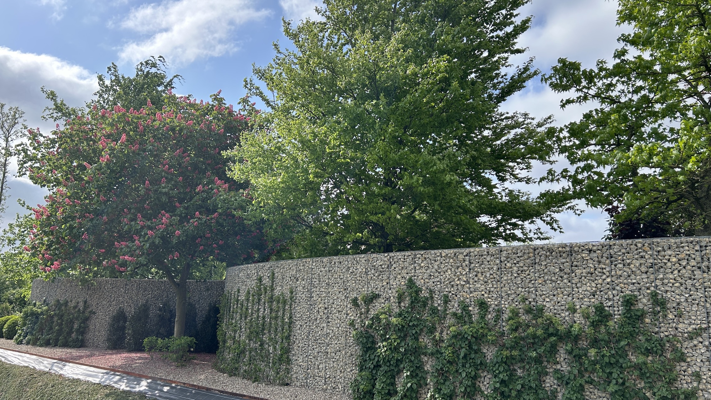 Foto : Golfvormige schanskorf | Moderne tuinafscheiding sloot