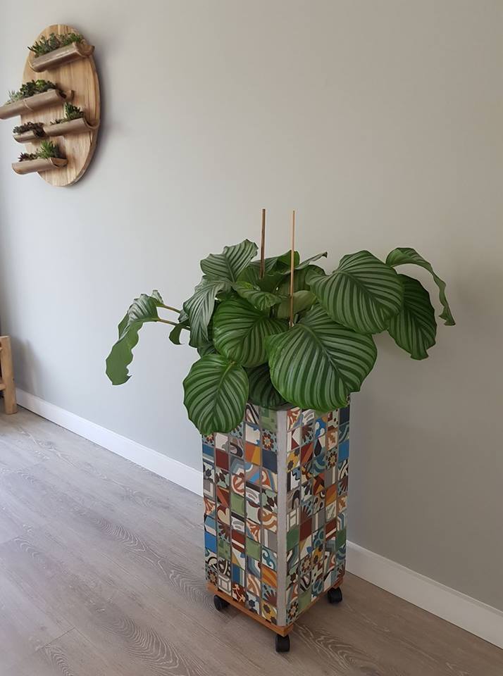 Foto: 22405775 1507842142597167 515279844386506508 n