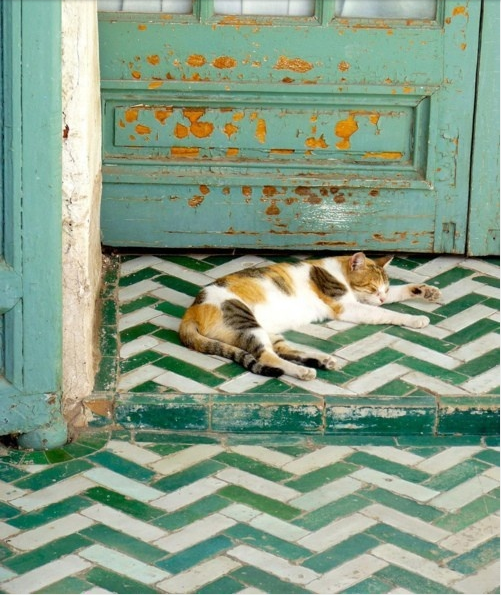 Foto: Bejamat  Turquoise Overige fotos detailpagina 527250c40d33a