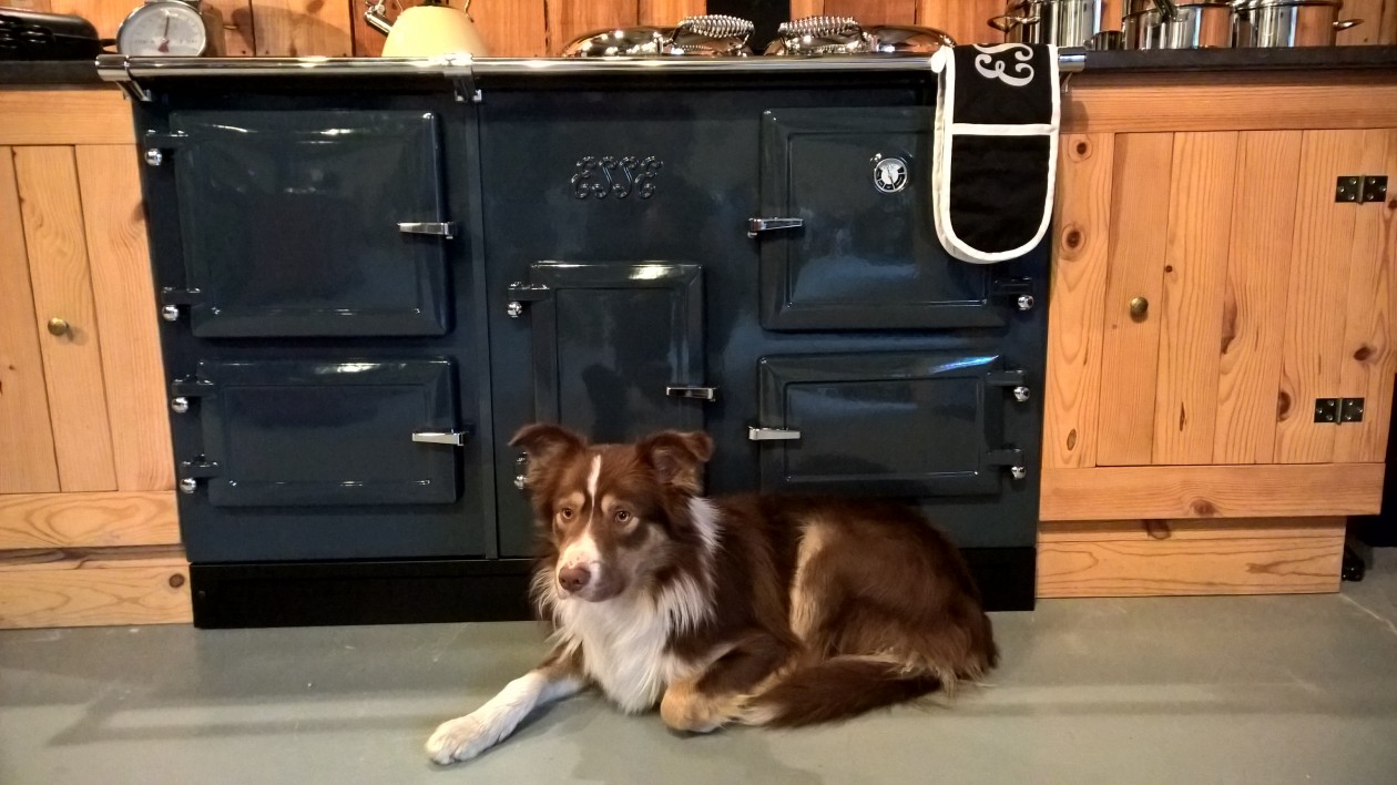 Foto: w3 WP 20160304 09 28 02 Pro